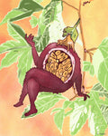 Maracuya