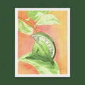 Limón Print